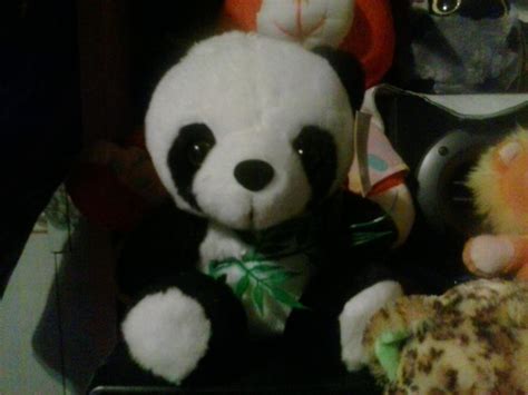 My Panda Plush 80 by PoKeMoNosterfanZG on DeviantArt