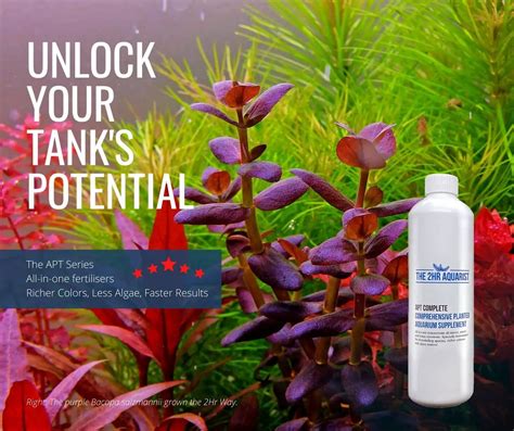 Planted Aquarium Fertilizer Guide & (Dosing, Calculators, How-To & FAQ) | TFCG