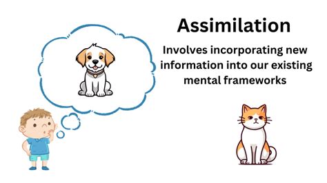 Assimilation in Psychology: Definition and Examples - Explore Psychology