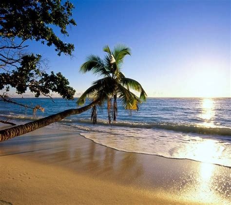 Summer Beach Wallpaper Screensavers - WallpaperSafari