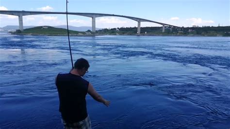 Fishing saltstraumen dream place 2 - YouTube