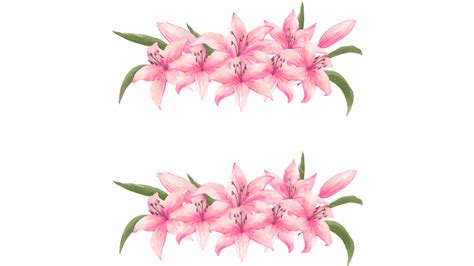 Lily Floral Wedding Border Banner, Lily, Flowers, Wedding PNG Transparent Clipart Image and PSD ...