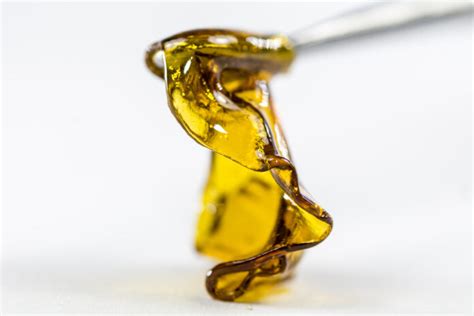 7 Things you Should know about Cannabis Rosin - 2024 Tips - Cannabis Legale