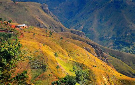 Febrero 2020. Brote de fiebre tifoidea en Mont-Organisé, Haití – Fundación io