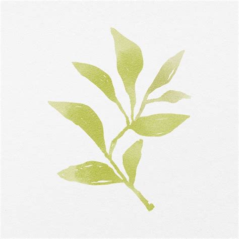 Green leaf watercolor illustration clipart | Free Photo - rawpixel