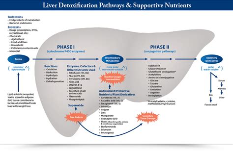 Managing the Exposome