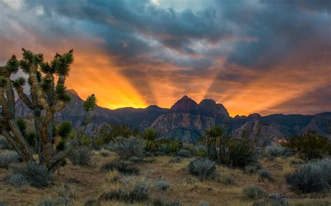 Red Rock Canyon Sunset | This has to be one of the most amaz… | Flickr