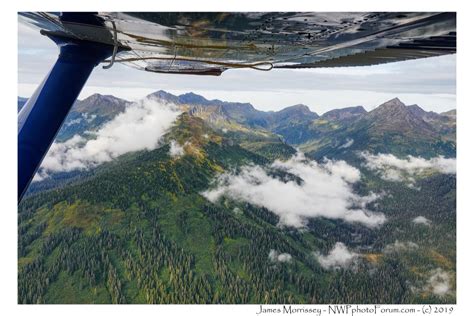 Admiralty Island National Monument Grizzly Viewing - The Nature, Wildlife and Pet Photography Forum