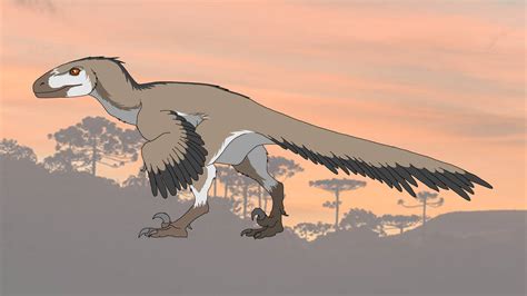 Dromaeosaurus by shipputomas on DeviantArt