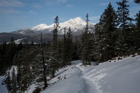 4 Reasons to visit Jasper, Alberta in Winter – Bearfoot Theory