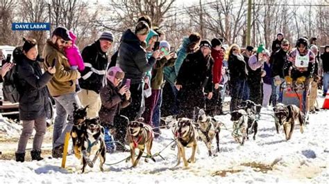 World Championship Sled Dog Derby 2023 canceled