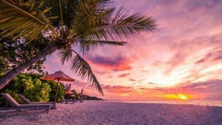 Tropical Sunset Desktop Wallpaper