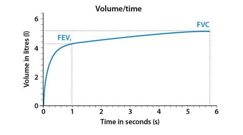 Lung Volumes & Capacities - Respiratory - TeachMePhysiology