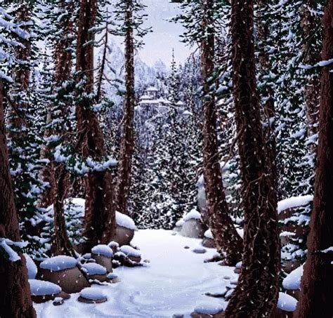 Forest Trees GIF - Forest Trees Snow - Discover & Share GIFs