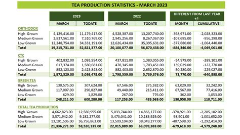 Sri Lanka tea production down 3.08-pct in March 2023 | EconomyNext