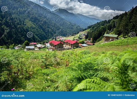 Landscape View of Ayder Plateau in Rize,Turkey Stock Image - Image of ...