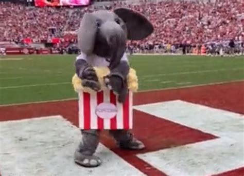 The story of how Big Al got his popcorn costume to troll Lane Kiffin ...