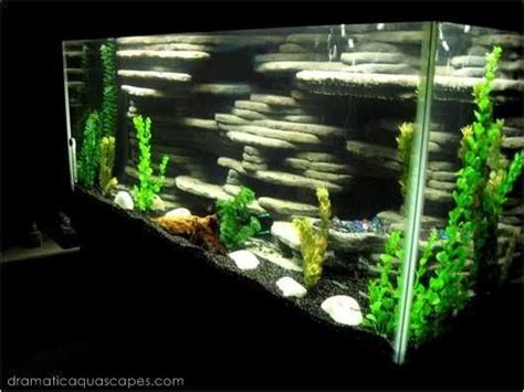 9 DIY Aquarium Backgrounds You Can Start Today - Learn How | Пруды ...