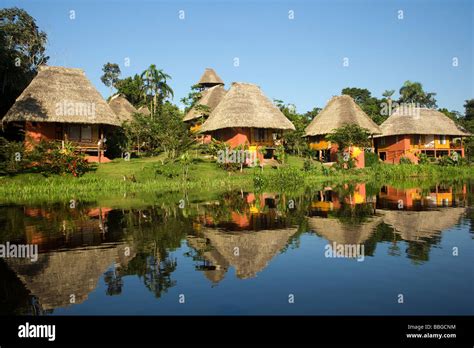 Napo Wildlife Center - Yasuni National Park, Napo Province, Ecuador Stock Photo - Alamy