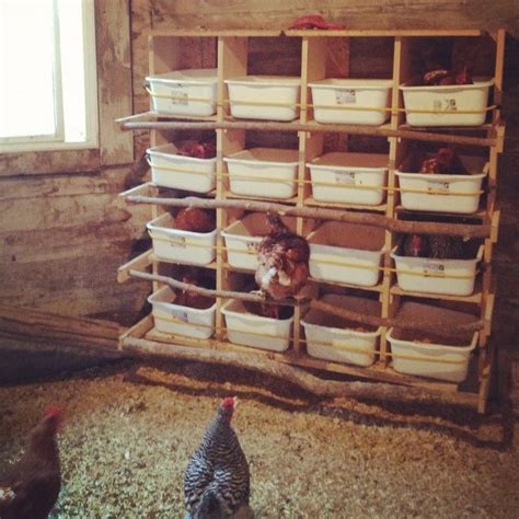 Pin by patricia kroeger on Chickens | Pinterest | Chicken nesting boxes ...