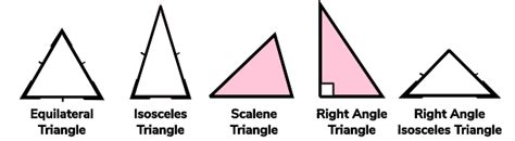 Types Of Triangles - GCSE Maths - Steps, Examples & Worksheet