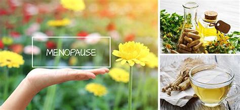 7 Natural Remedies for Menopause - The Lost Herbs