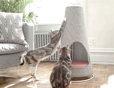 The Cone, A Sleek Modern Cat Scratching Post That Doubles as a Comfy ...