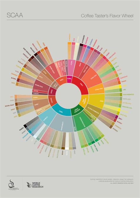 Guide to Coffee Roasting Levels with Charts! Info Before You Buy - Procaffeination