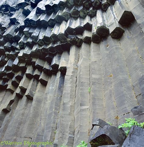 Basalt columns in Iceland photo WP01823