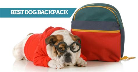 Best Dog Backpack In 2020 | IUCN Water