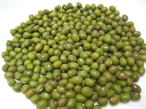 Mung beans Facts, Health Benefits and Nutritional Value