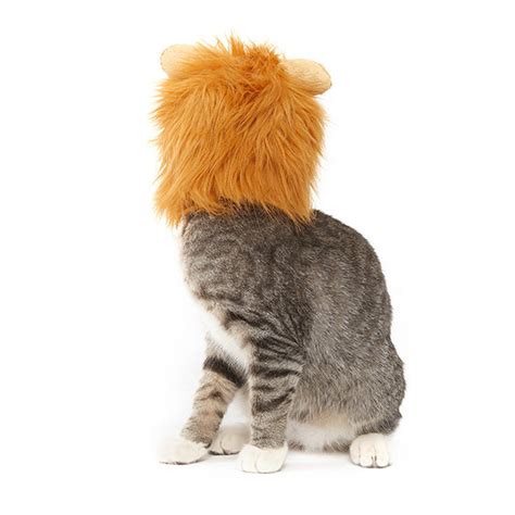 Lion Cat Costume – Meowingtons