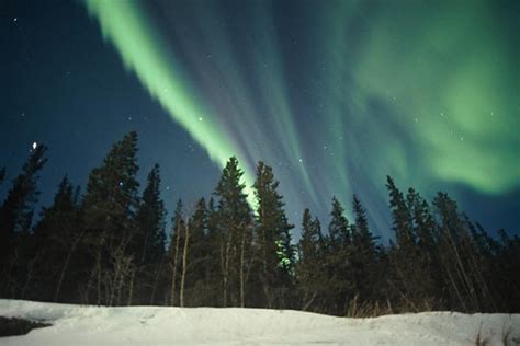 Northern Lights - Wilderness Yukon