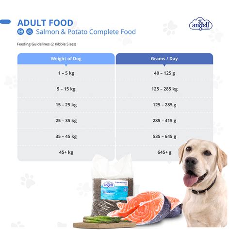 What Food Should I Feed My Pitbull? – Golden Bailey Dogs