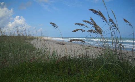 'Secret' beach? Hobe Sound Wildlife Refuge: 5 miles of wild beach