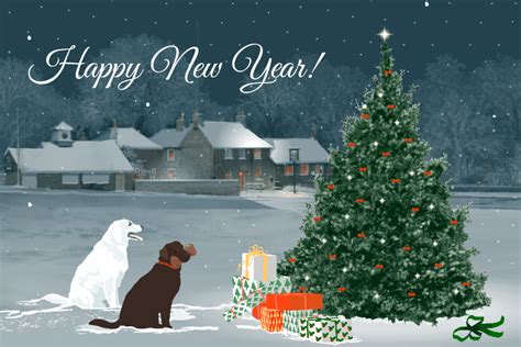 Happy New Year GIFs - Best Animated Greeting Cards | USAGIF.com