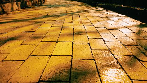 "Yellow Brick Road" Discovered In Pacific Ocean During First-Ever Exploration Of Underwater ...