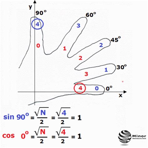 Interesting fact - as you can remember the value of the sine and cosine of th... | Matematika ...