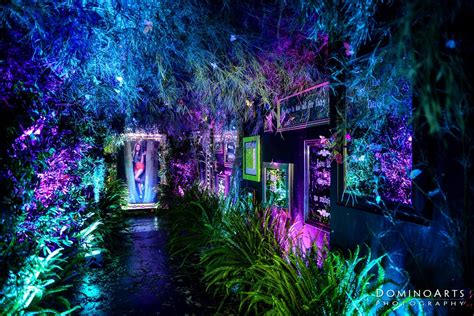 Pin by Sofia Oller on In-Sonora | Neon jungle, Nightclub design, Neon