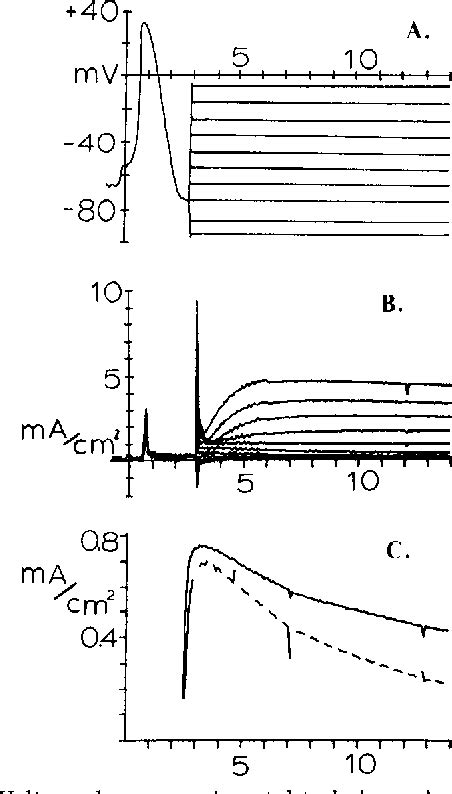 Figure 4 from How Gymnodinium breve red tide toxin(s) produces ...