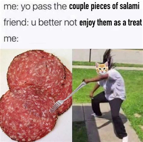 Salami Cat Meme