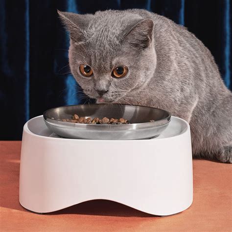 Laifug Cat Food Bowl Elevated Pet Feeder Raised Food or Water Bowl with ...