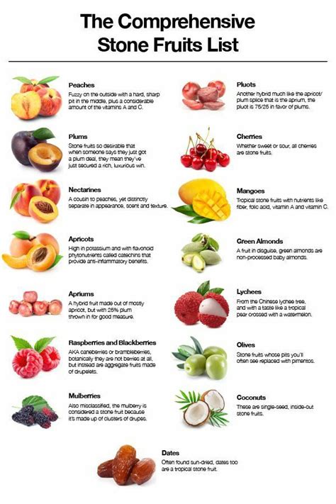 Stone Fruit Chart | Stone fruits list, Fruit list, Stone fruits