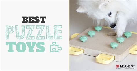 Best Dog Puzzle Toys | Sit Means Sit Dog Training