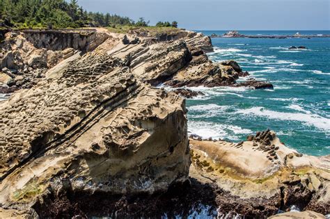 Shore Acres State Park 2018 | State parks, Oregon coast, Coast