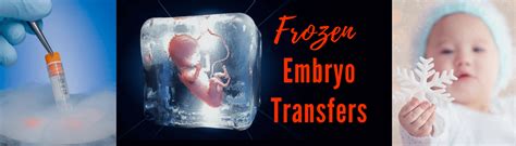 Frozen Embryo Transfers | Highest Success with Best Clinic