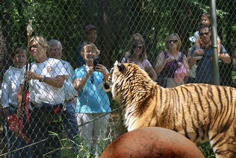 Visit | Carolina Tiger Rescue