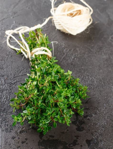 Sprigs of Thyme stock photo. Image of bush, plant, green - 6284362