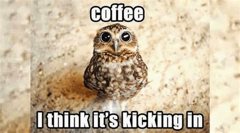 10 Hilarious Coffee Memes Every Coffee Addict Relates To