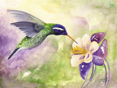 White-eared Hummingbird Painting by Art by Carol May